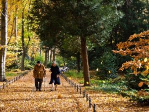 DE Landscape 08: Tiergarten Old Couple