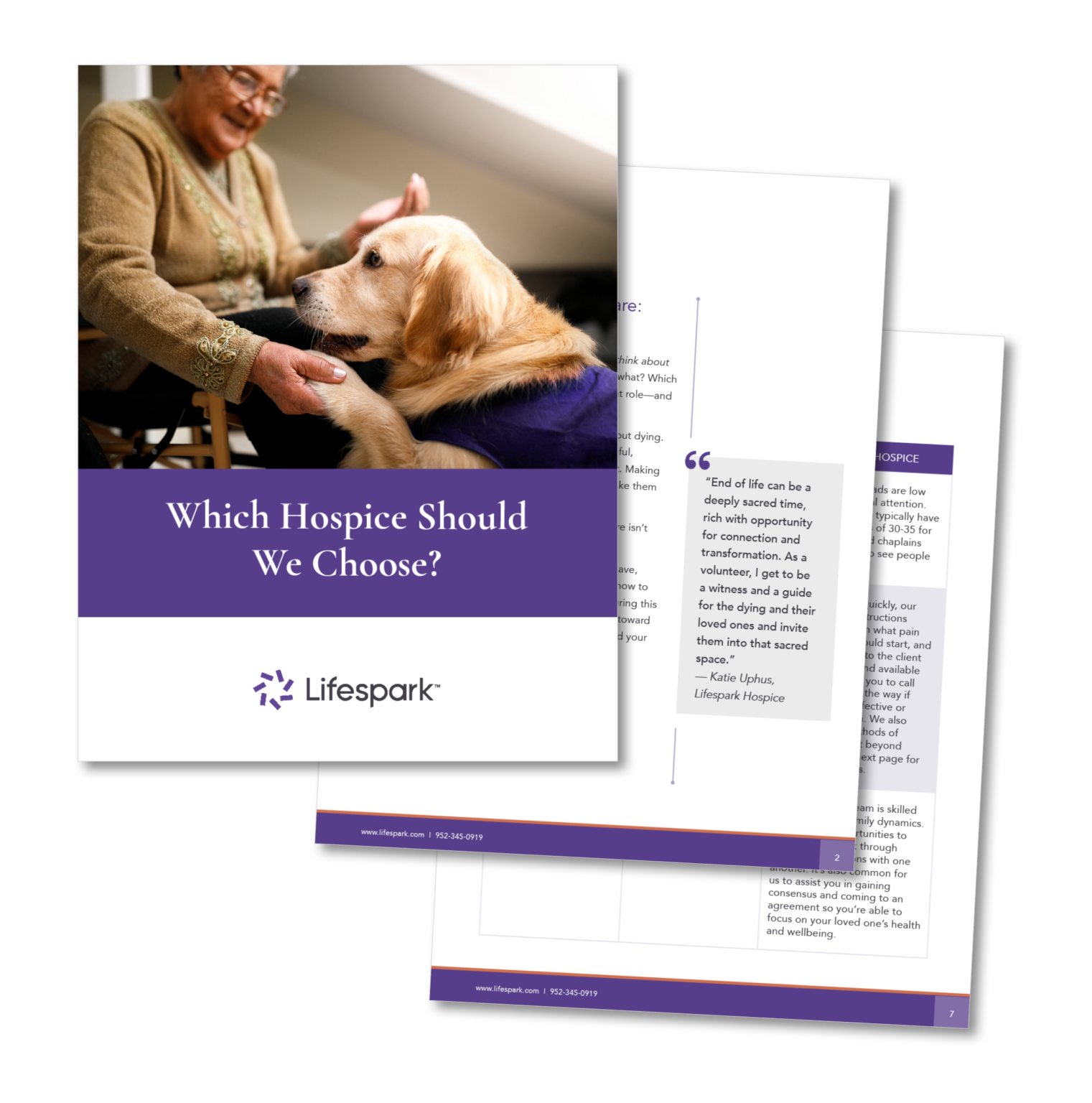 Hospice ebook: Which Hospice Should I Choose landing page - Lifespark