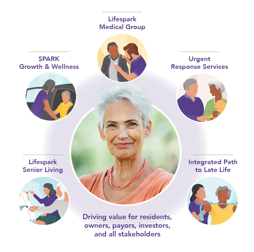 lifespark services graphic